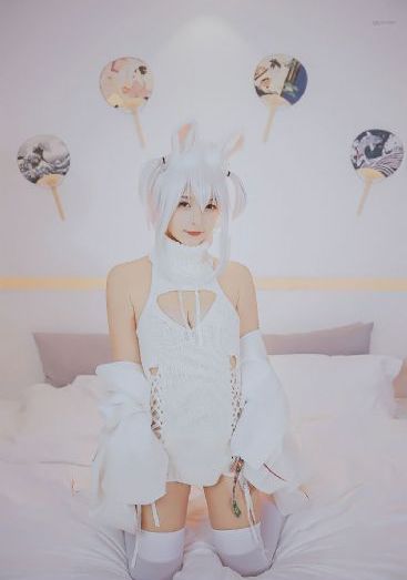 实验者