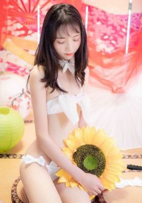 熊出没全集